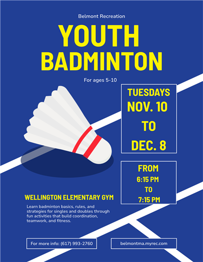 Badminton Poster 